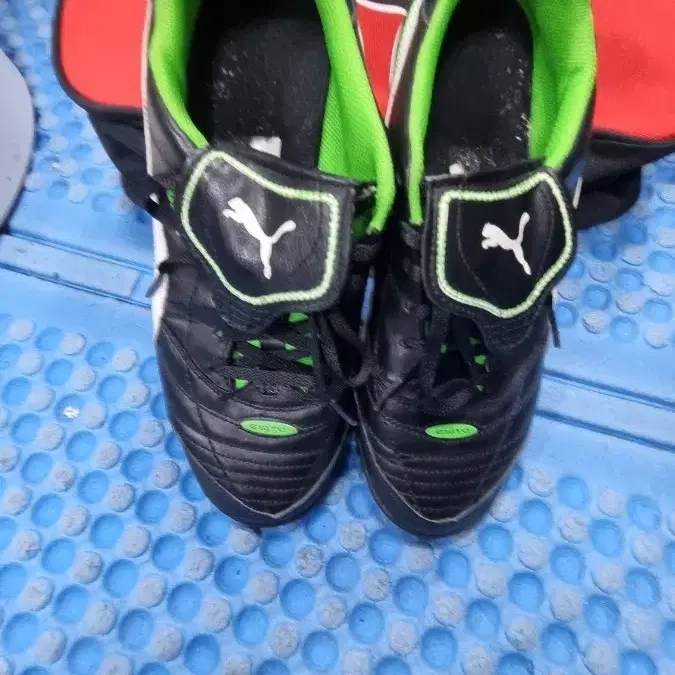 퓨마 축구화