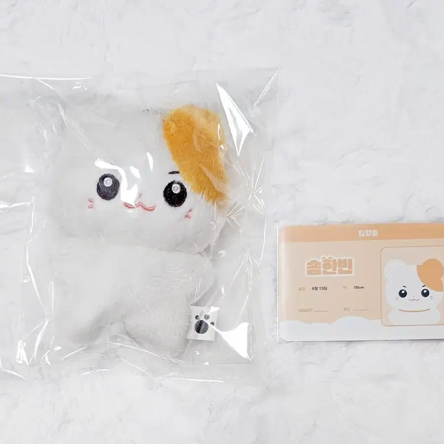 제베원 성한빈 인형 솜한빈 판매합니다