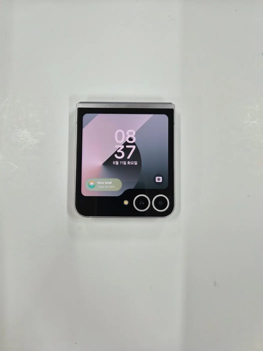 Galaxy Z Flip6 Silver Shadow (5543)