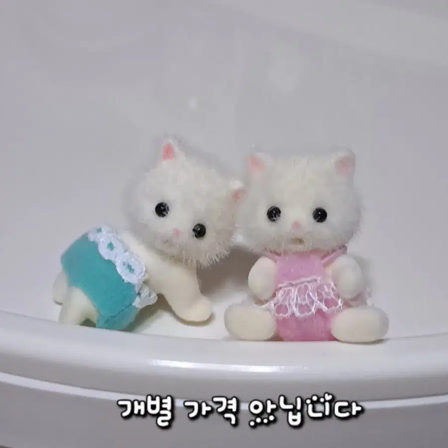 실바니안 쌍둥이 아기 고양이 [러블리] [키덜트] [귀여운 캐릭터] [페르시안 캣 트윈스]