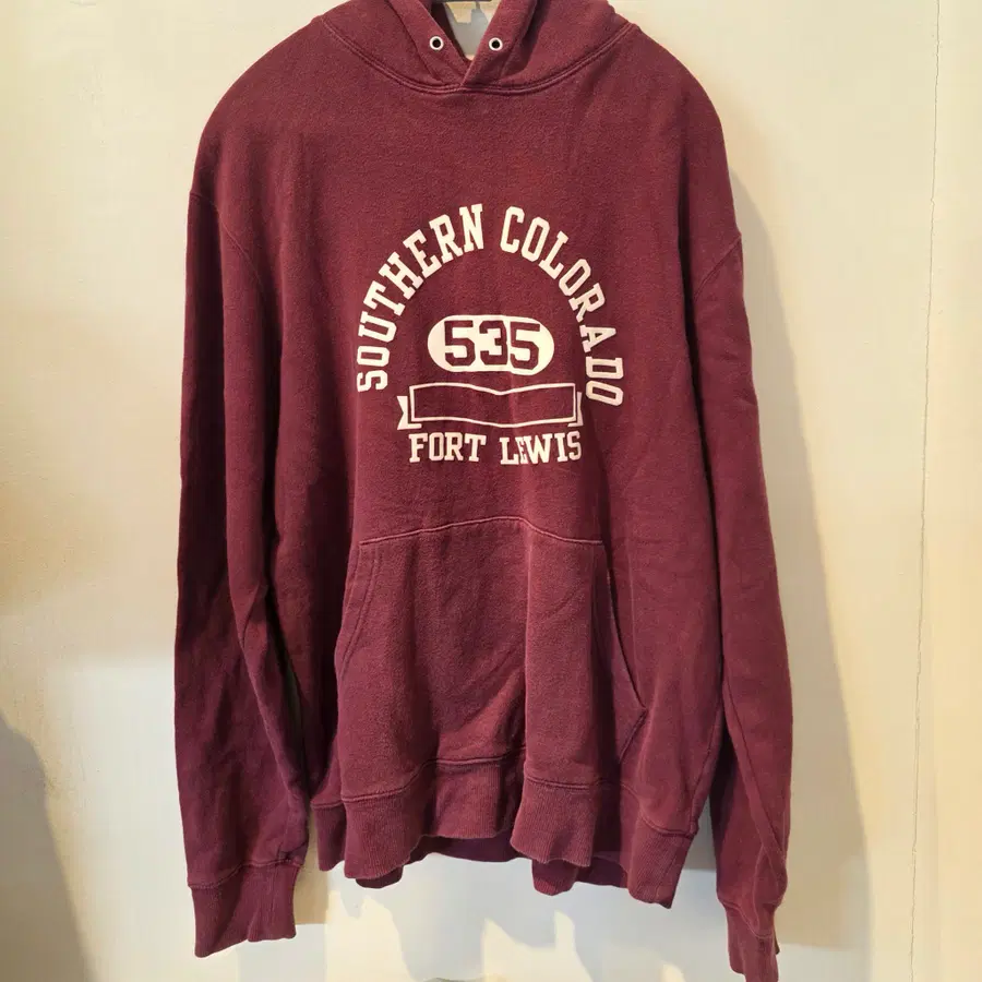 Champion Southern Colorado Fort Lewis 535 Hoodie