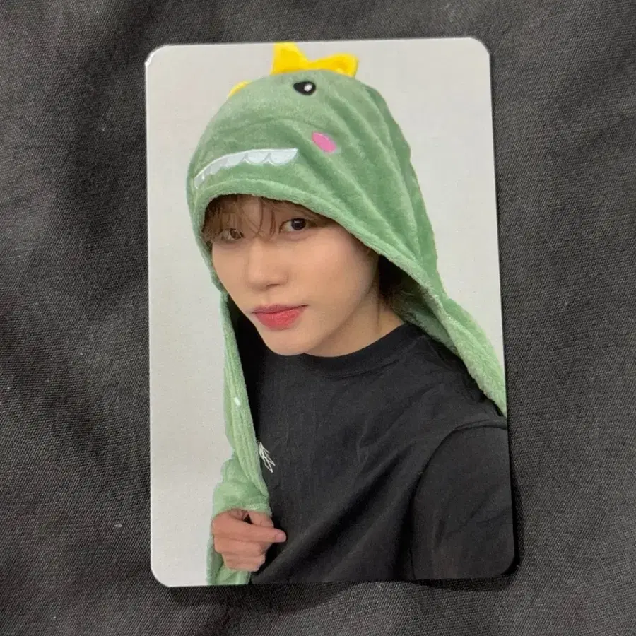 다크비 GK 네모즈 샵 영통 코앙 버전 미공포 특전 포카