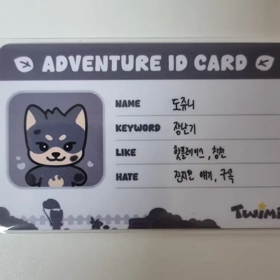 투위미 도쥬니모험증