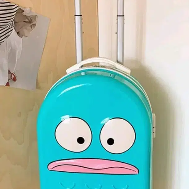 한교동 캐리어
