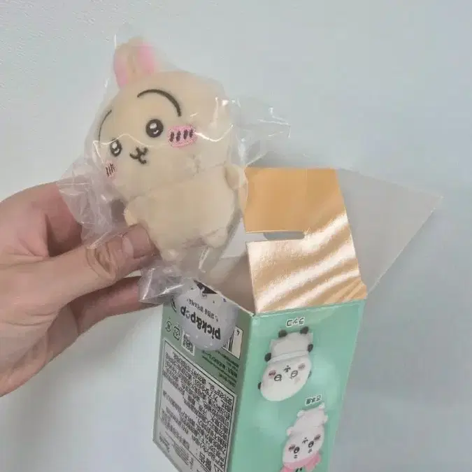 먼작귀 우사기 누이