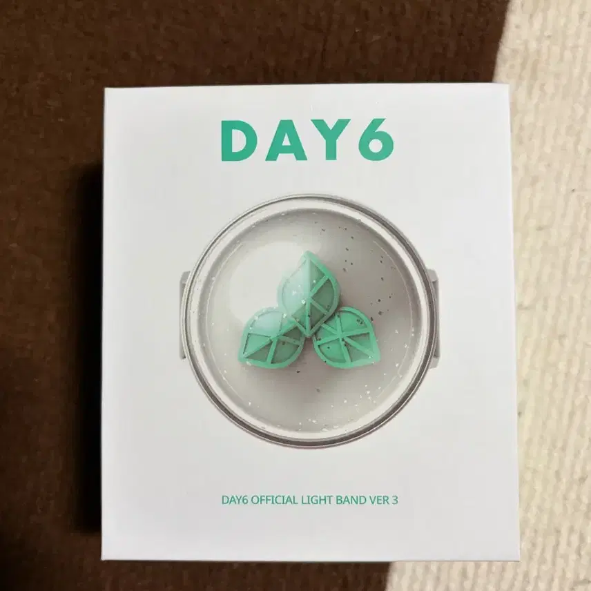 DAY6公式応援棒3バージョン