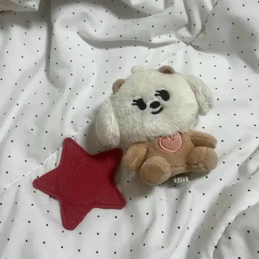 뿔바투 밤긋 2차