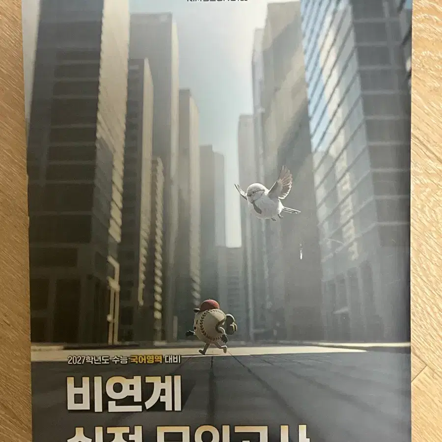 2027 김승리 비연계 실전 모의고사