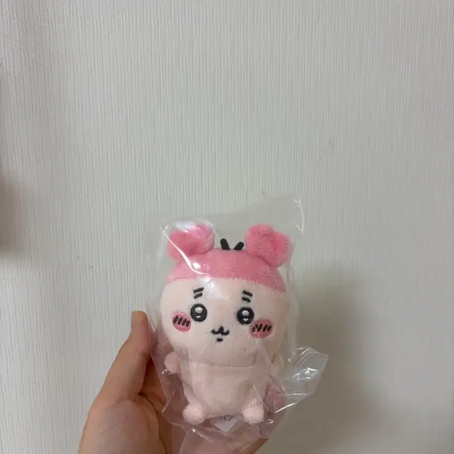 치이카와 앉은누이 카니 미개봉 박스o