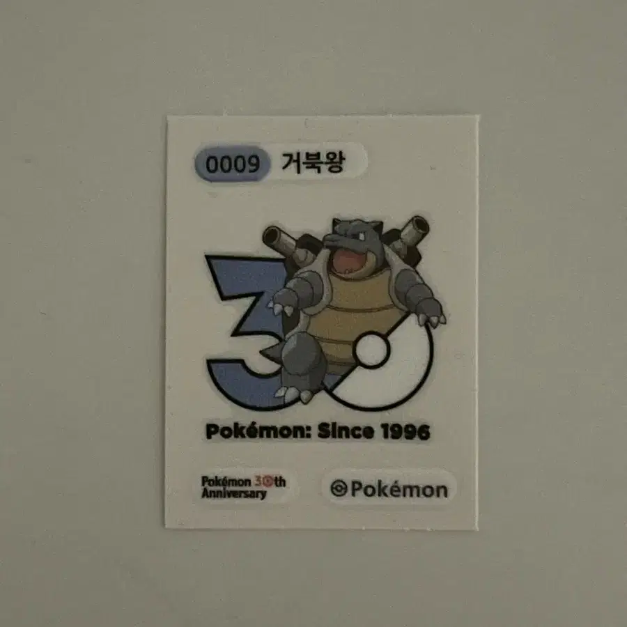 포켓몬 거북왕 띠부실 30주년 기념