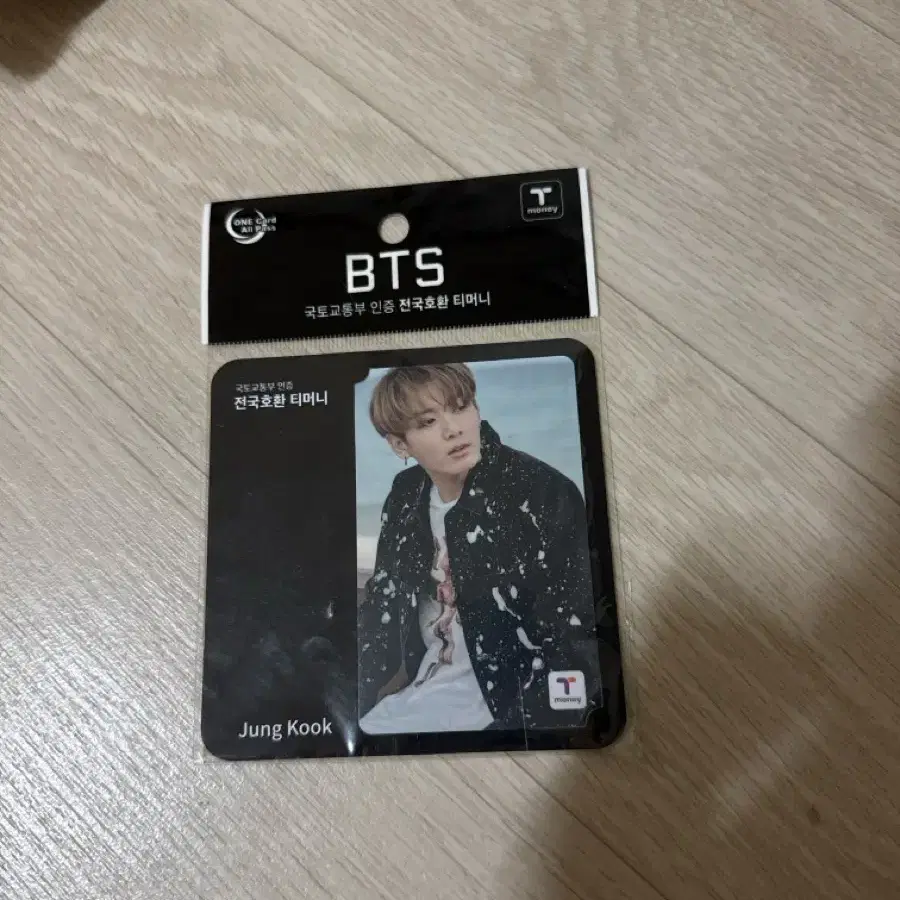 BTS 전국호환 봄날 티머니 정국