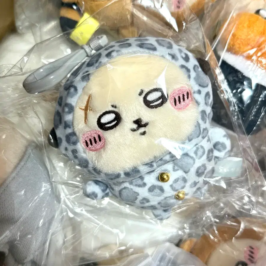 치이카와 돈키호테 갸루 랏코