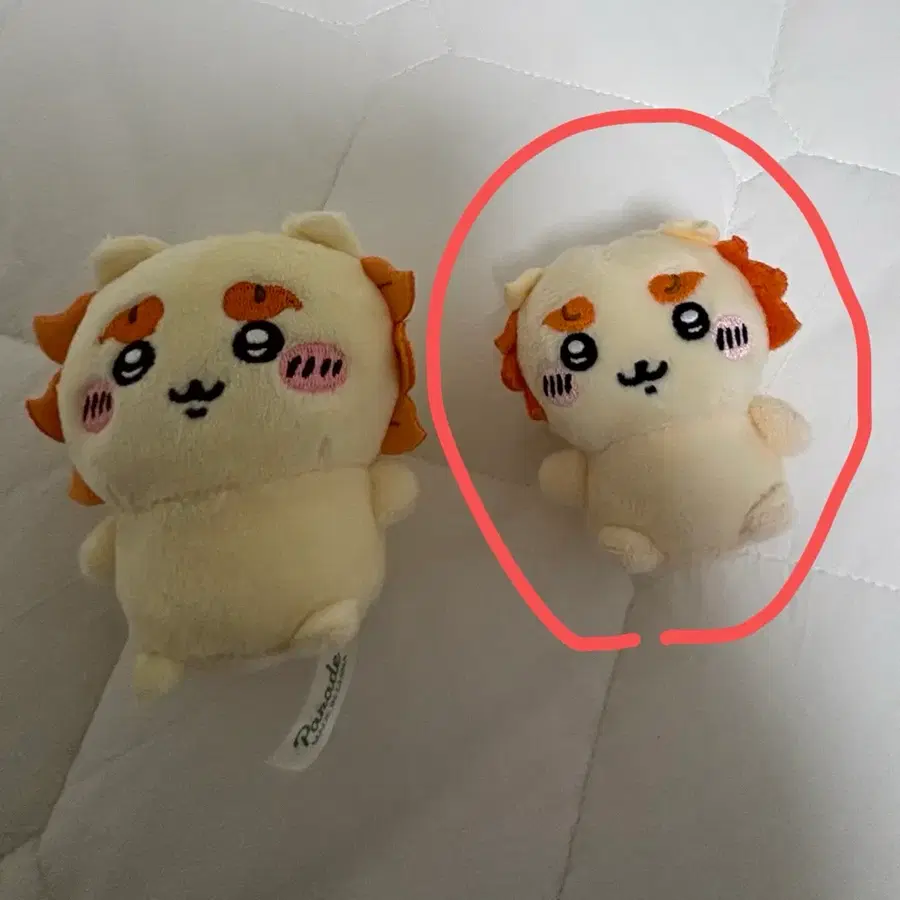 치이카와 앉은누이 구버전 2탄 시사