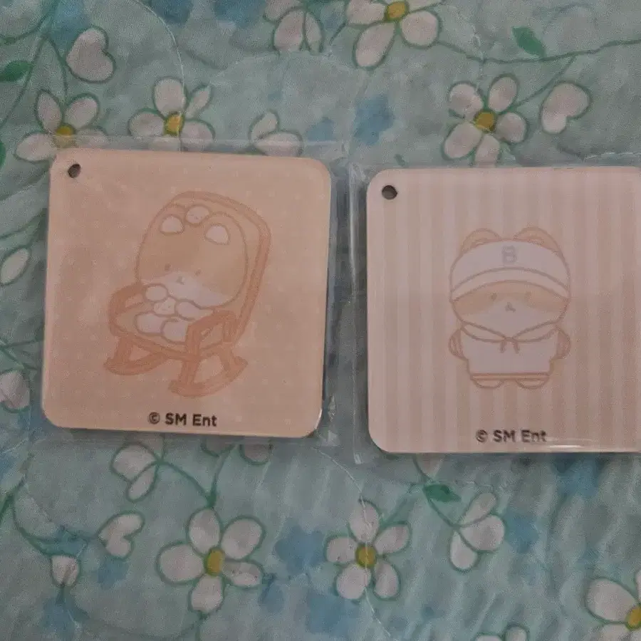터래기 초콜릿 마그넷 일괄