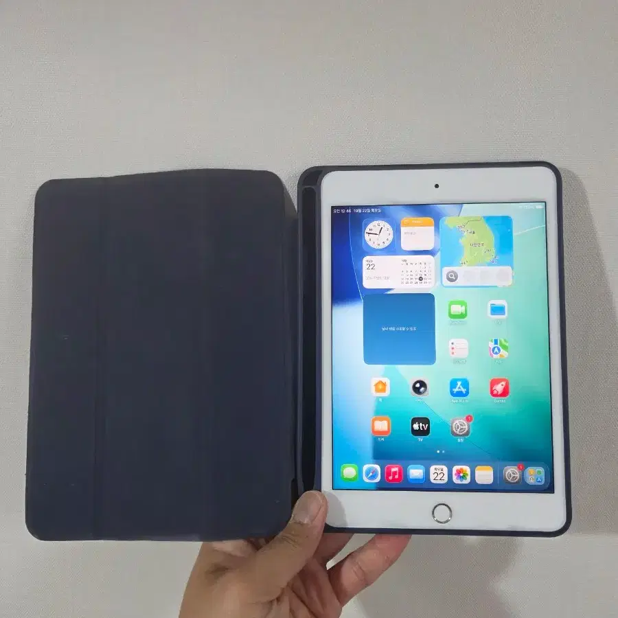 셀룰러] 아이패드미니5 셀룰러 64GB 판매