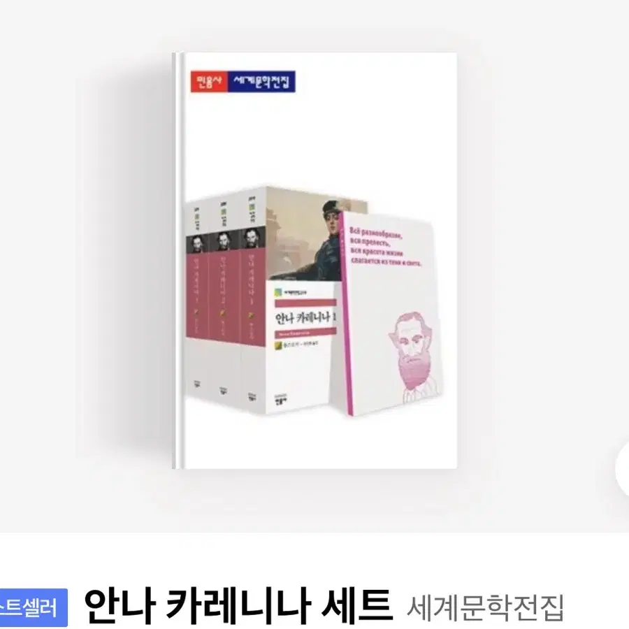 민음사 안나 카레니나 세트