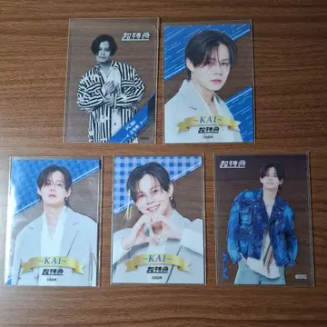 초특급 클리어 카드 마루이 Vol.3 Vol.4 Vol.5 카이 5매