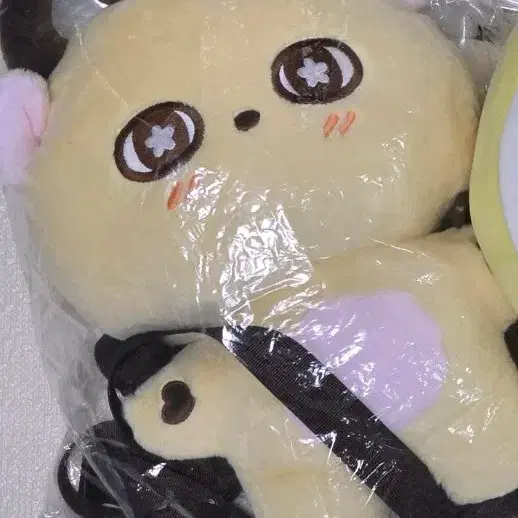 박지훈 소심이 가방