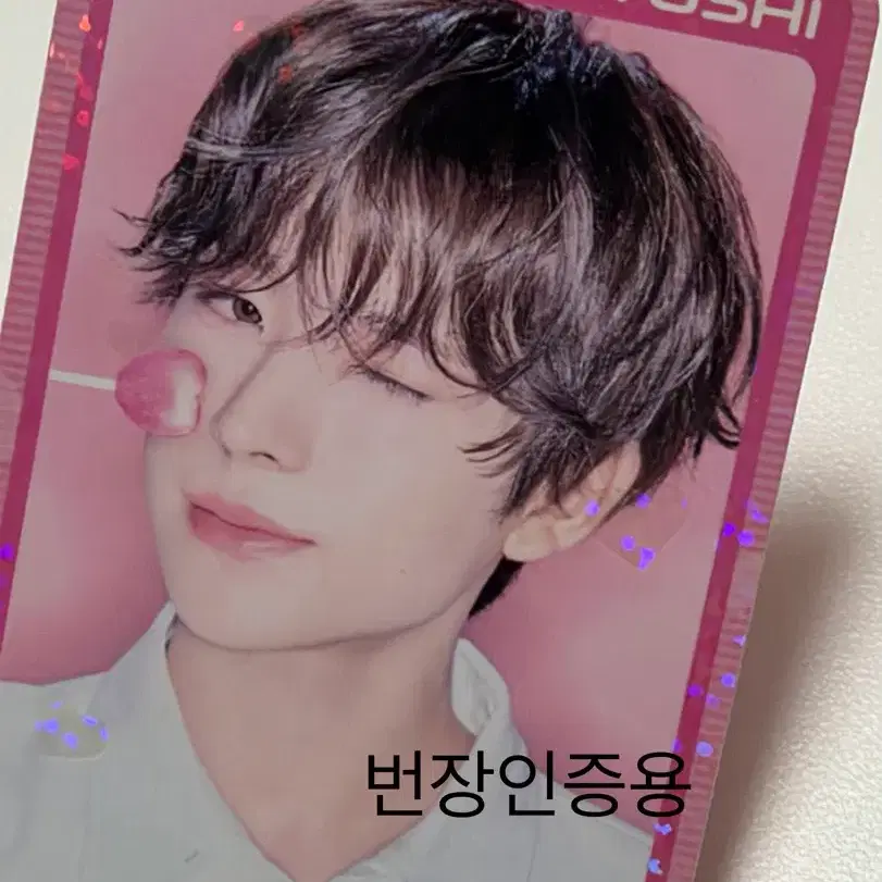 유우시 위시랜드 러버보이버전 스페셜