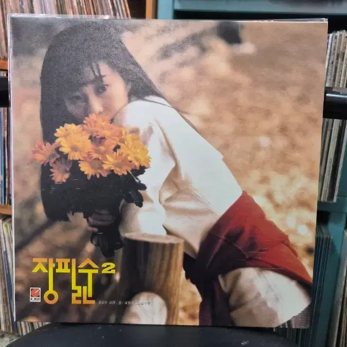 장필순 2집