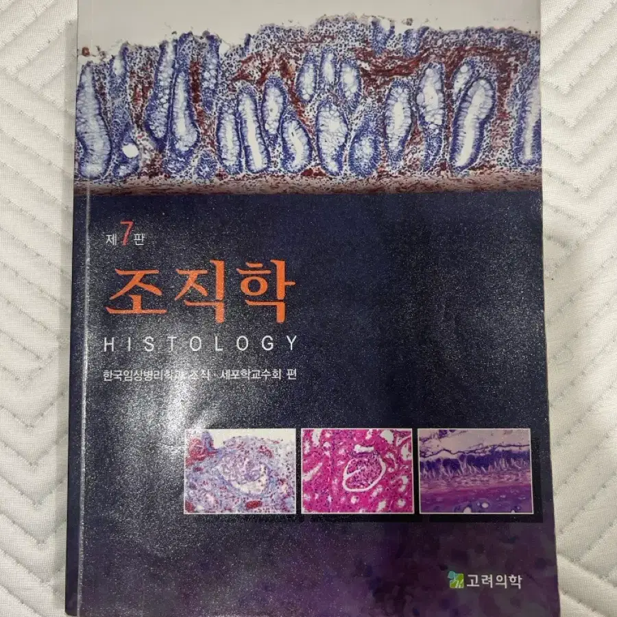 임상병리) 고려의학 조직학 제7판