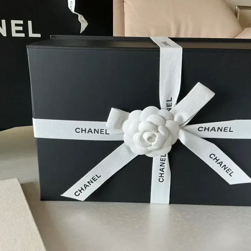 샤넬 CHANEL 2025 봄-여름 프리-컬렉션 컬렉션의 쇼핑백: AS5413 사진 2