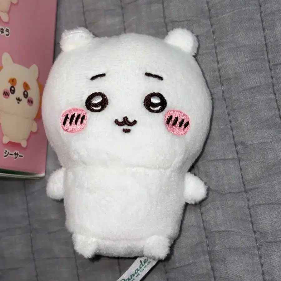 치이카와 앉은누이 판매