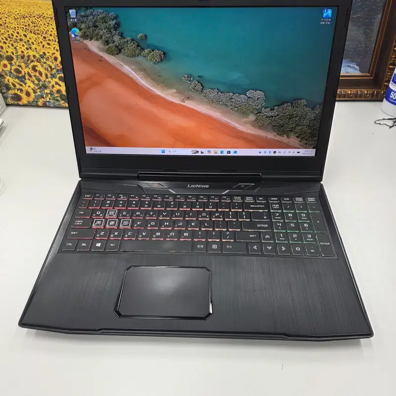 주연 라이오나인 i5 8세대, GTX1060 6GB 고사양 게이밍노트북