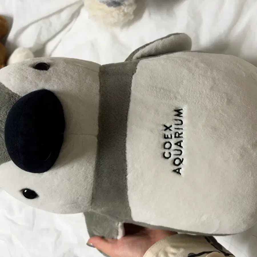 인형