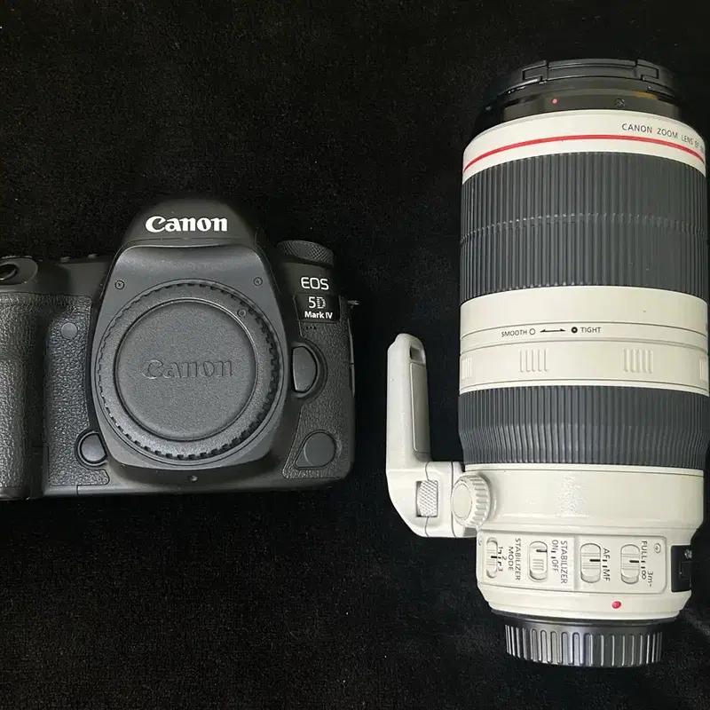 EF 100-400mm 2 백사투