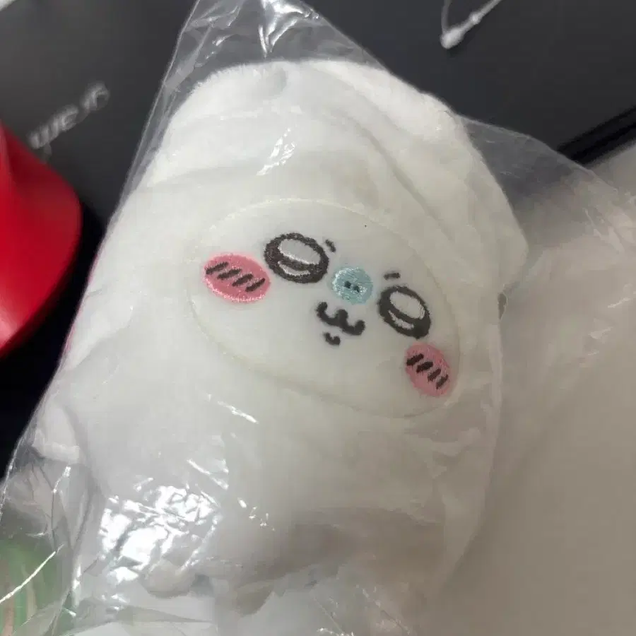 모몽가 오징어 쿠지