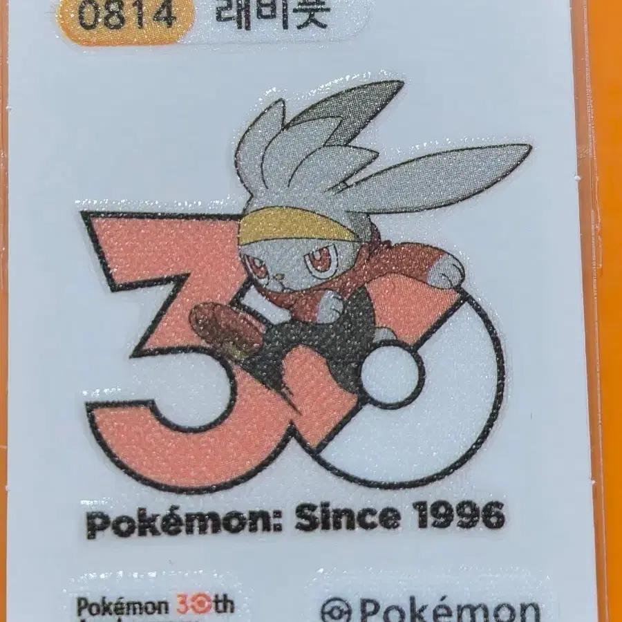 포켓몬띠부씰 1013로고_래비풋