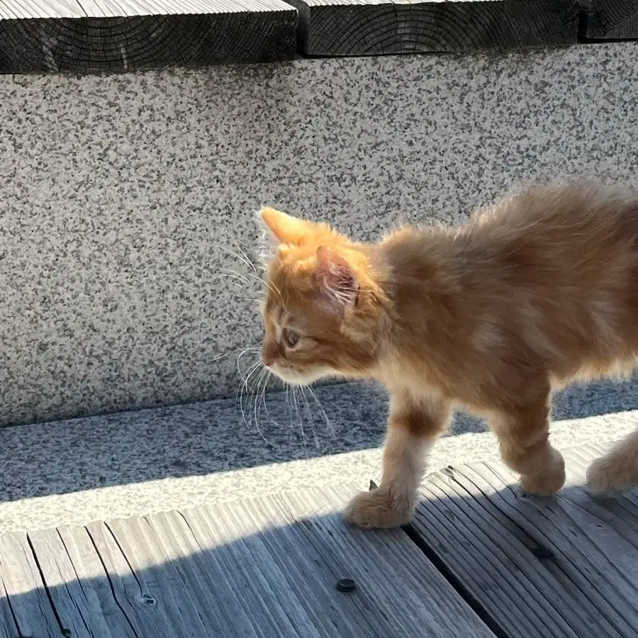 응급구조사 문제집 삽니다