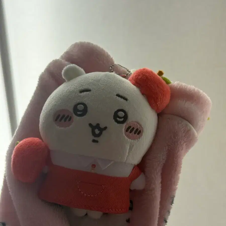 치이카와 미니소 과일 마스코트