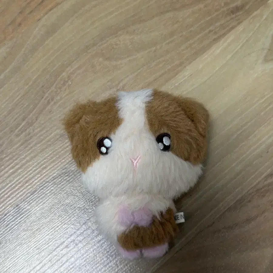 앤팀 하루아 룽기니