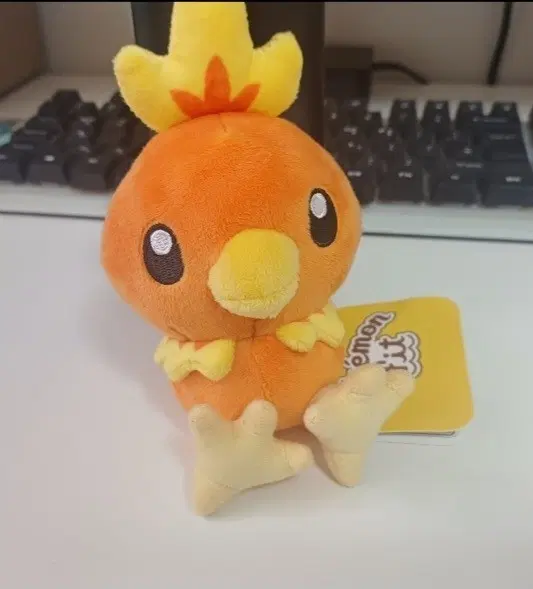 Pokémon Torchic fit doll