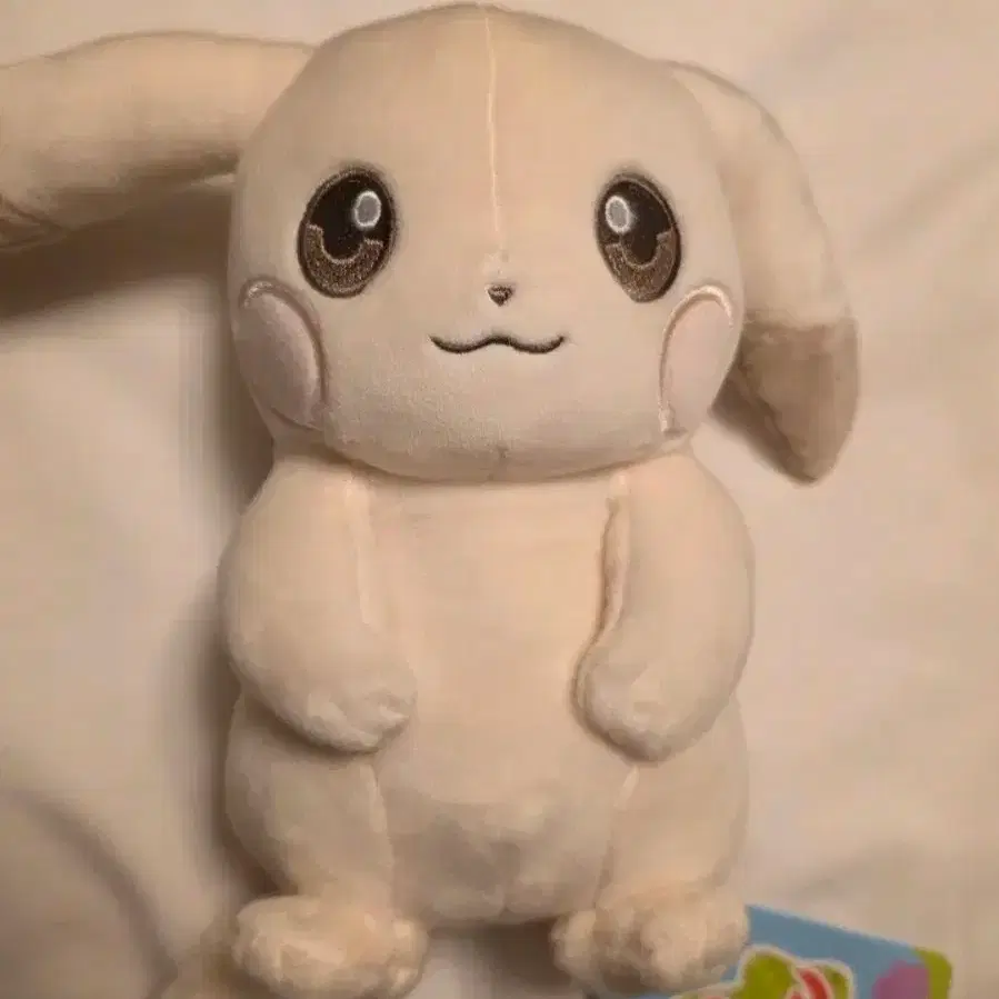 포코피아 창백카츄