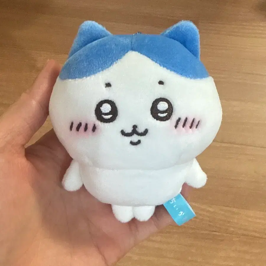 하치와레 기본 마스코트 인형 키링 먼작귀 치이카와