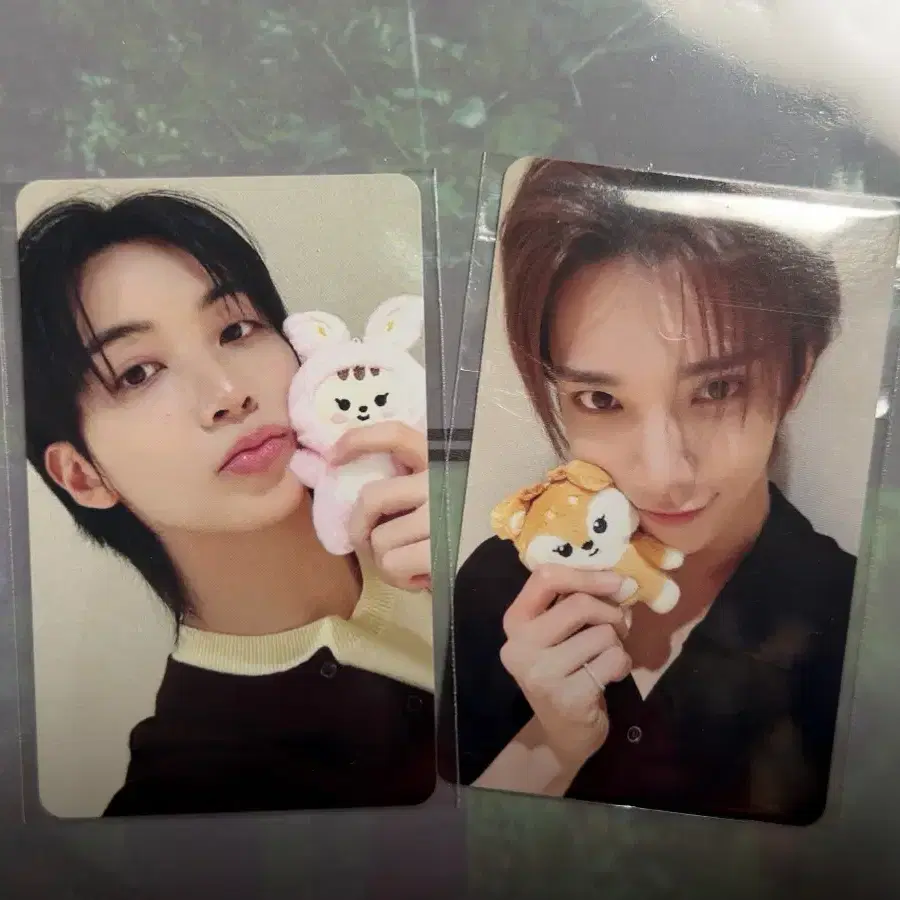정한 조슈아 jxj 팝업 럭드 포카 양도