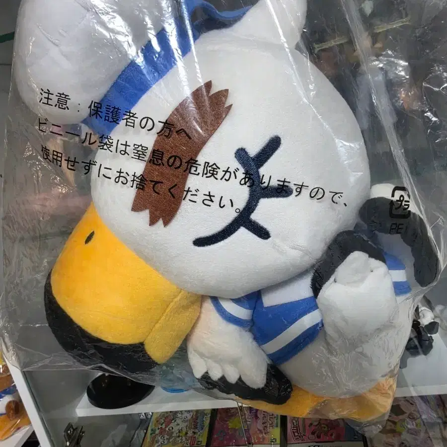 표류죠니 대형