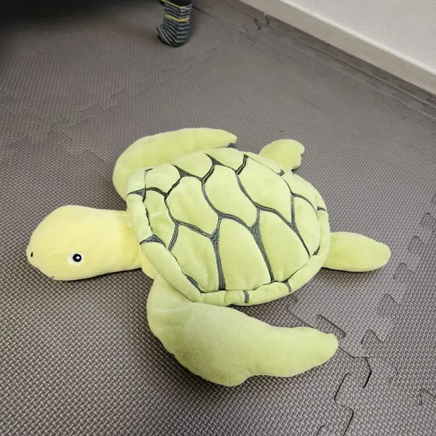 대왕 모찌 거북이 42cm