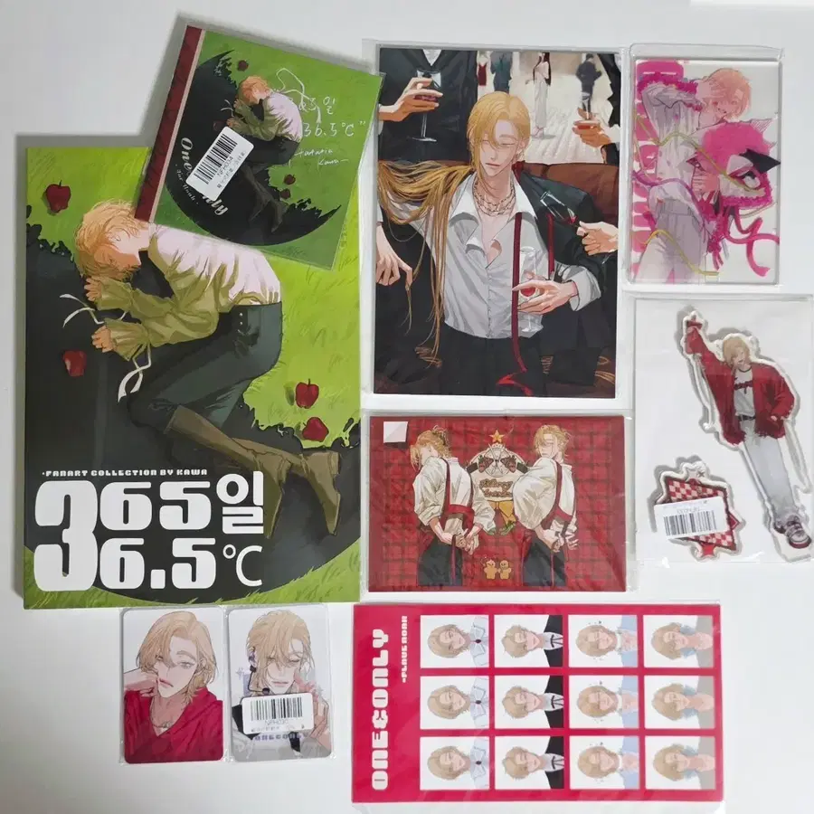 플레이브 노아 365일 36.5도씨-카와