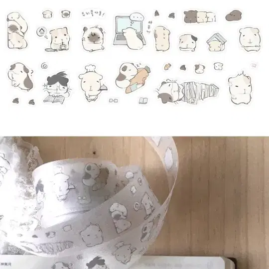 소소히히 기니일상 키스컷 소분 다꾸 키스컷띵 1M