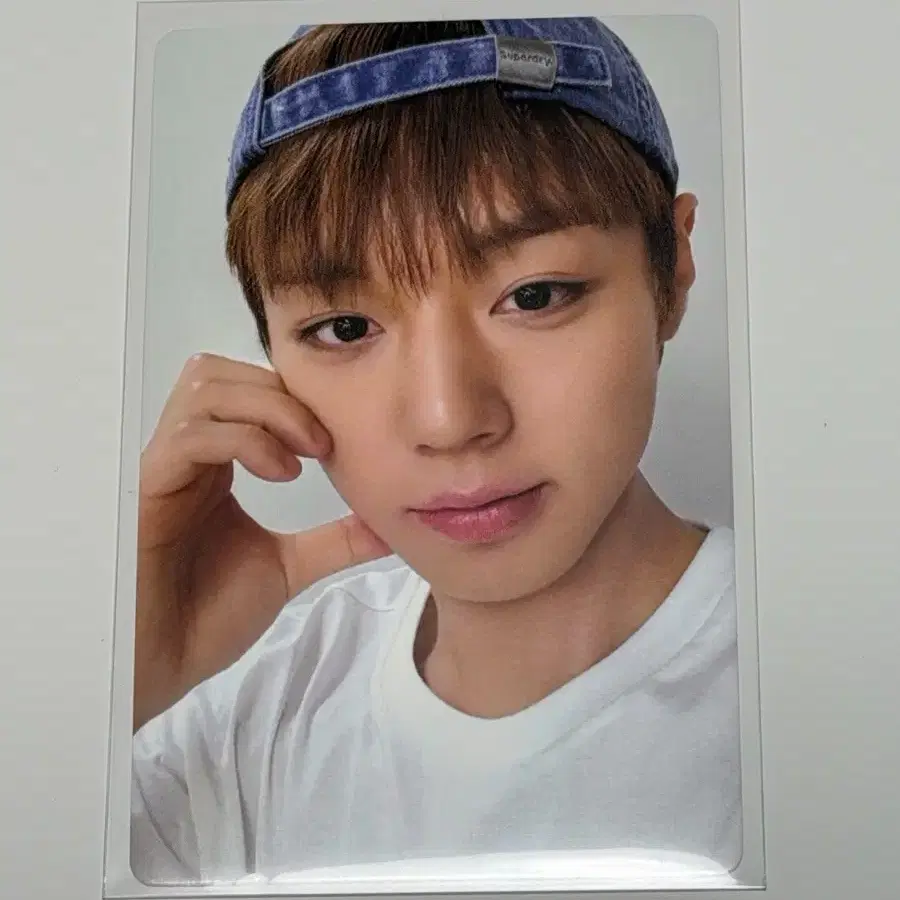박지훈 멜라니포카 슈드 슈퍼드라이 포토카드 미피