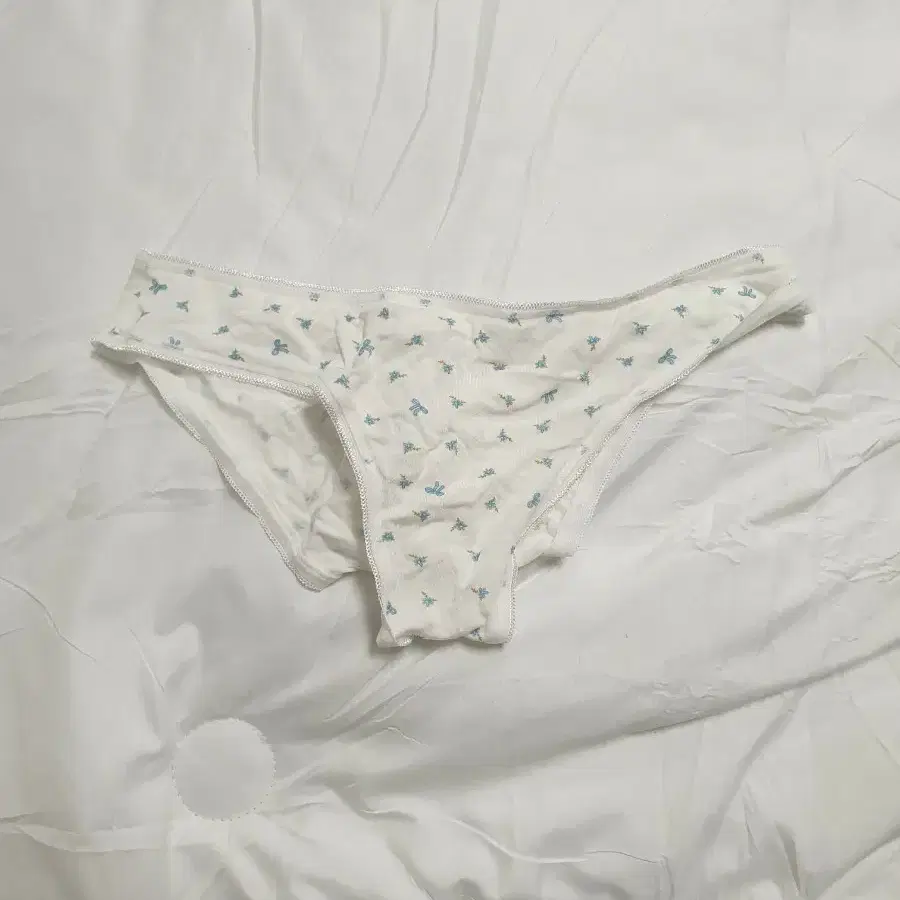 여성팬티 나비 패턴 세탁완료