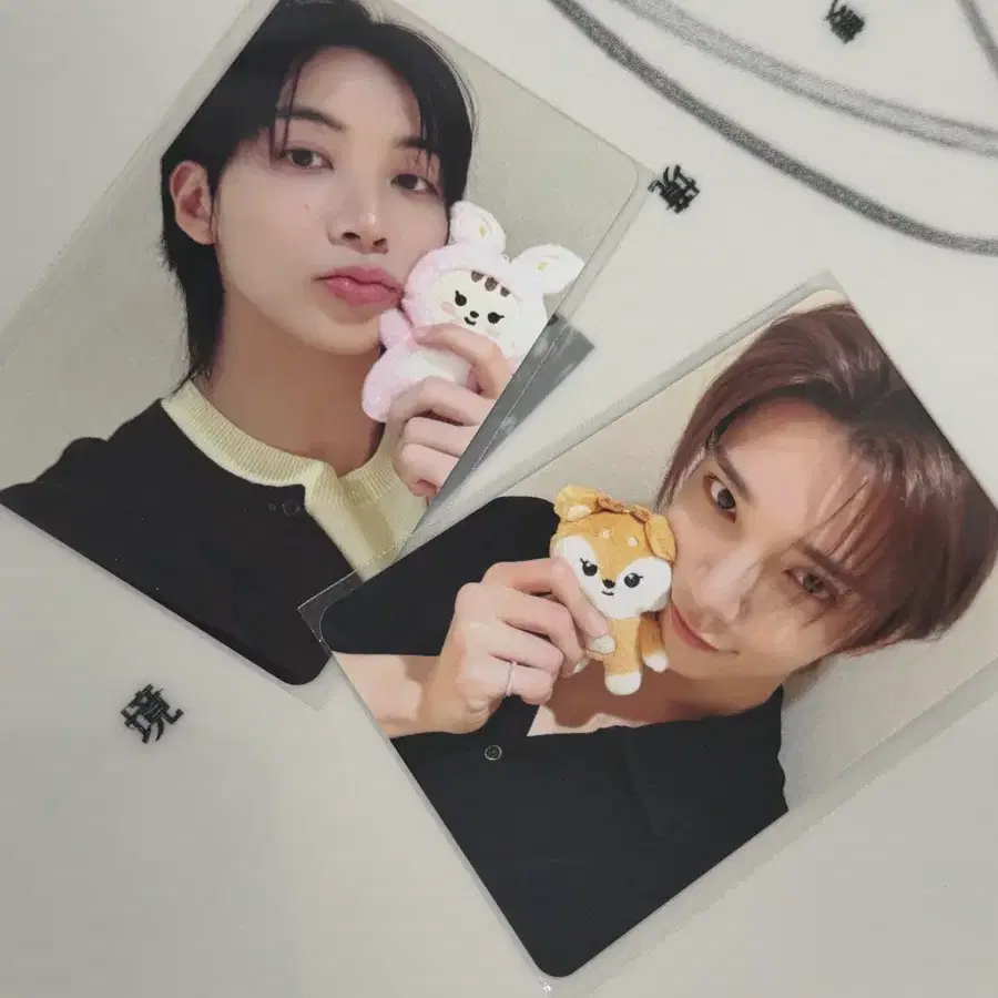 정한 조슈아 팝업 럭드 포카 일괄 세트