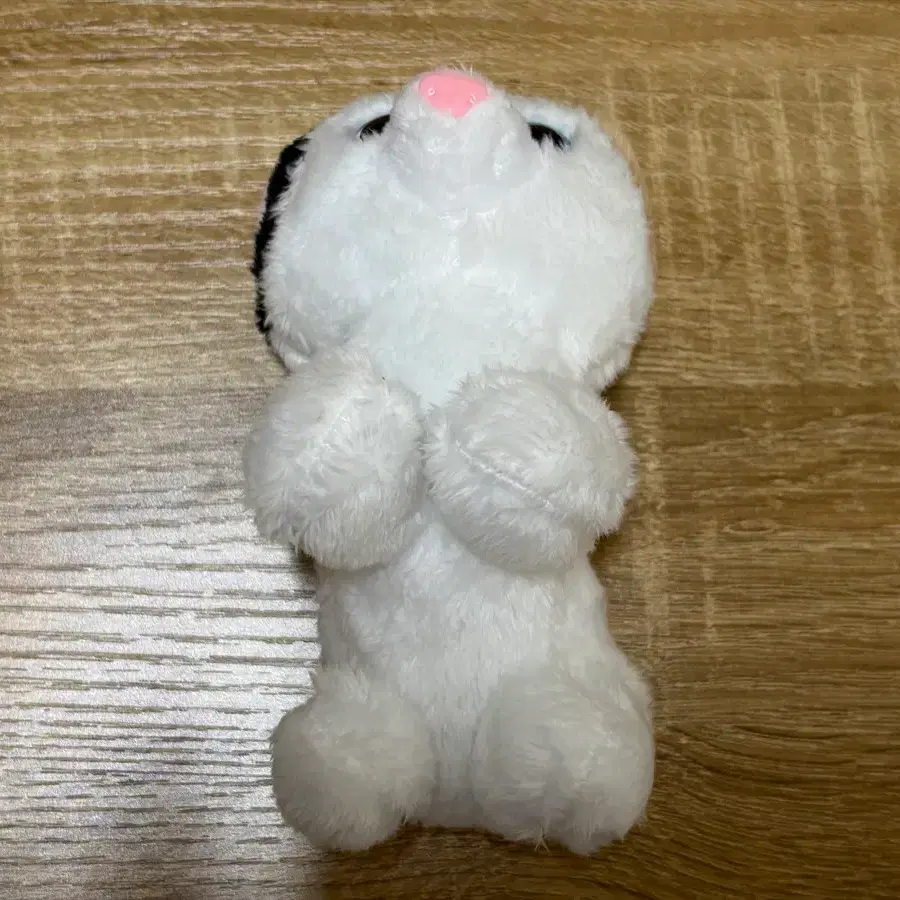인형뽑기 10cm 인형 판매합니다