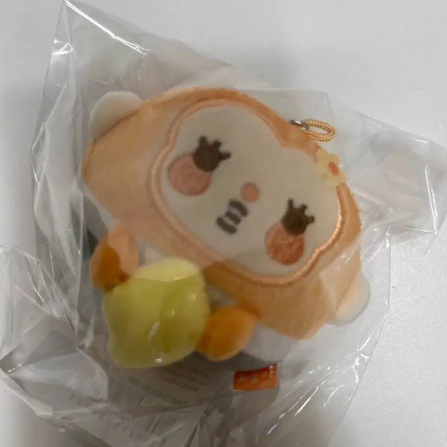 하투하 하뀨하 레몬탱 노숭이
