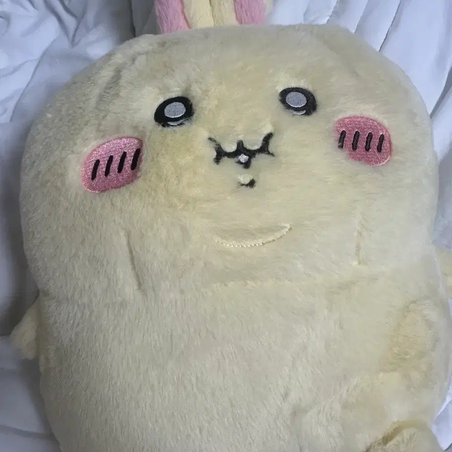 뚱사기 판매합니다