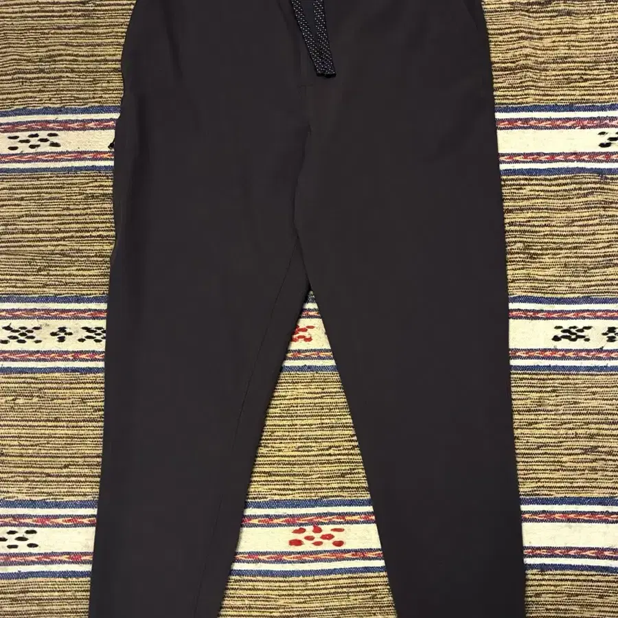 (L)파타고니아 스카이라인 트래블러 기능성팬츠 조거팬츠